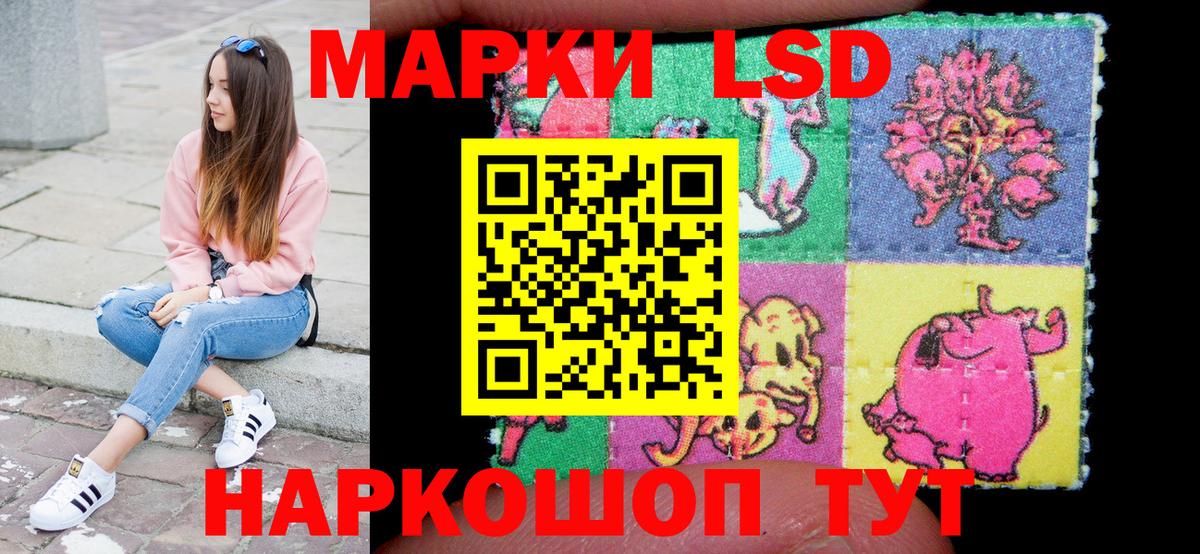 Наркотические марки 1,5мг  где продают   Буйнакск  Вход с VPN 